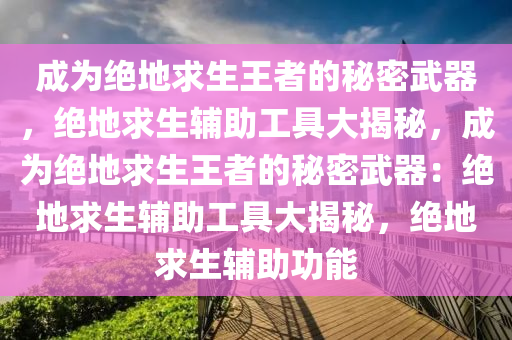 成为绝地求生王者的秘密武器，绝地求生辅助工具大揭秘，成为绝地求生王者的秘密武器：绝地求生辅助工具大揭秘，绝地求生辅助功能