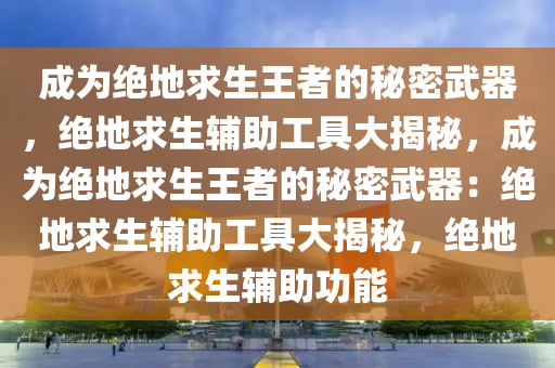 成为绝地求生王者的秘密武器，绝地求生辅助工具大揭秘，成为绝地求生王者的秘密武器：绝地求生辅助工具大揭秘，绝地求生辅助功能