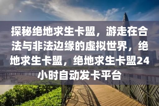 探秘绝地求生卡盟，游走在合法与非法边缘的虚拟世界，绝地求生卡盟，绝地求生卡盟24小时自动发卡平台