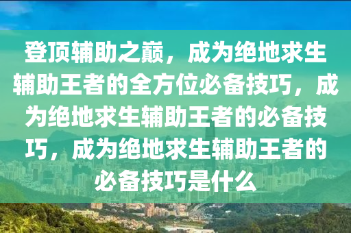 登顶辅助之巅，成为绝地求生辅助王者的全方位必备技巧，成为绝地求生辅助王者的必备技巧，成为绝地求生辅助王者的必备技巧是什么