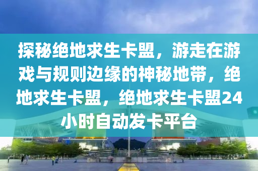 探秘绝地求生卡盟，游走在游戏与规则边缘的神秘地带，绝地求生卡盟，绝地求生卡盟24小时自动发卡平台