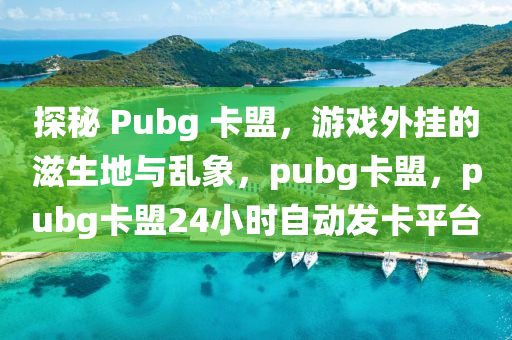 探秘 Pubg 卡盟，游戏外挂的滋生地与乱象，pubg卡盟，pubg卡盟24小时自动发卡平台
