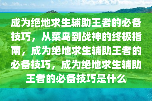 成为绝地求生辅助王者的必备技巧，从菜鸟到战神的终极指南，成为绝地求生辅助王者的必备技巧，成为绝地求生辅助王者的必备技巧是什么