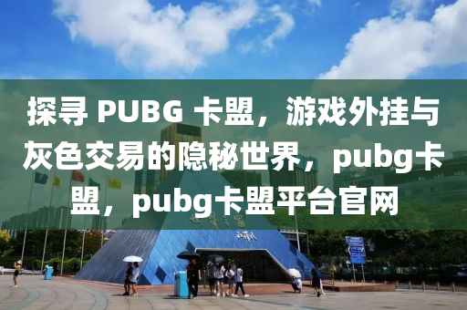 探寻 PUBG 卡盟，游戏外挂与灰色交易的隐秘世界，pubg卡盟，pubg卡盟平台官网