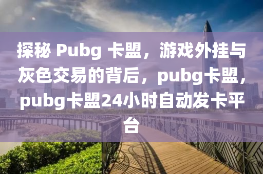 探秘 Pubg 卡盟，游戏外挂与灰色交易的背后，pubg卡盟，pubg卡盟24小时自动发卡平台
