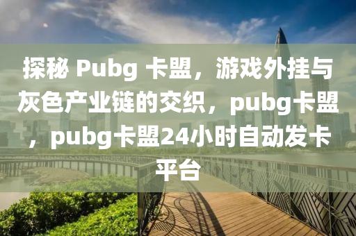 探秘 Pubg 卡盟，游戏外挂与灰色产业链的交织，pubg卡盟，pubg卡盟24小时自动发卡平台
