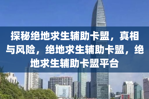 探秘绝地求生辅助卡盟，真相与风险，绝地求生辅助卡盟，绝地求生辅助卡盟平台