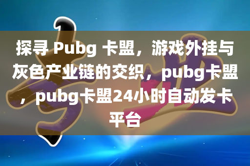 探寻 Pubg 卡盟，游戏外挂与灰色产业链的交织，pubg卡盟，pubg卡盟24小时自动发卡平台