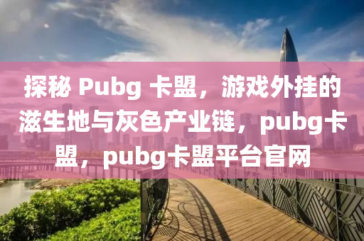 探秘 Pubg 卡盟，游戏外挂的滋生地与灰色产业链，pubg卡盟，pubg卡盟平台官网