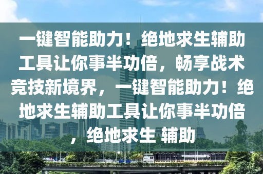 一键智能助力！绝地求生辅助工具让你事半功倍，畅享战术竞技新境界，一键智能助力！绝地求生辅助工具让你事半功倍，绝地求生 辅助