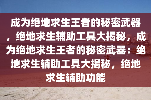 成为绝地求生王者的秘密武器，绝地求生辅助工具大揭秘，成为绝地求生王者的秘密武器：绝地求生辅助工具大揭秘，绝地求生辅助功能