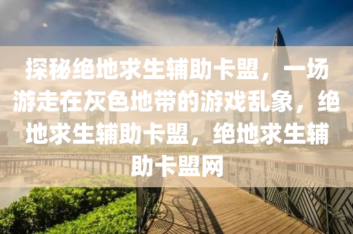 探秘绝地求生辅助卡盟，一场游走在灰色地带的游戏乱象，绝地求生辅助卡盟，绝地求生辅助卡盟网