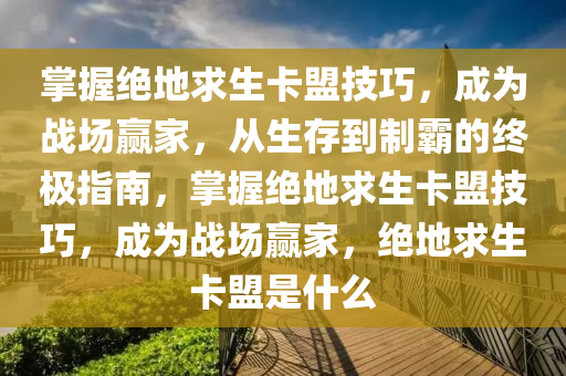 掌握绝地求生卡盟技巧，成为战场赢家，从生存到制霸的终极指南，掌握绝地求生卡盟技巧，成为战场赢家，绝地求生卡盟是什么