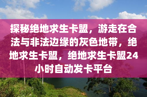 探秘绝地求生卡盟，游走在合法与非法边缘的灰色地带，绝地求生卡盟，绝地求生卡盟24小时自动发卡平台