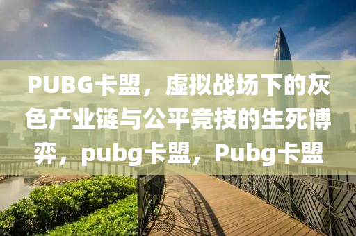 PUBG卡盟，虚拟战场下的灰色产业链与公平竞技的生死博弈，pubg卡盟，Pubg卡盟