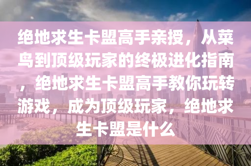 绝地求生卡盟高手亲授，从菜鸟到顶级玩家的终极进化指南，绝地求生卡盟高手教你玩转游戏，成为顶级玩家，绝地求生卡盟是什么