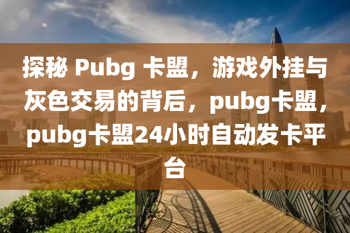 探秘 Pubg 卡盟，游戏外挂与灰色交易的背后，pubg卡盟，pubg卡盟24小时自动发卡平台
