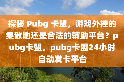 探秘 Pubg 卡盟，游戏外挂的集散地还是合法的辅助平台？pubg卡盟，pubg卡盟24小时自动发卡平台