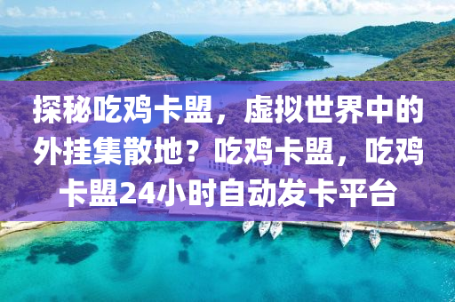 探秘吃鸡卡盟，虚拟世界中的外挂集散地？吃鸡卡盟，吃鸡卡盟24小时自动发卡平台