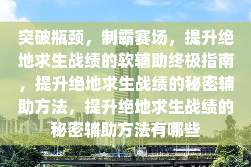 突破瓶颈，制霸赛场，提升绝地求生战绩的软辅助终极指南，提升绝地求生战绩的秘密辅助方法，提升绝地求生战绩的秘密辅助方法有哪些