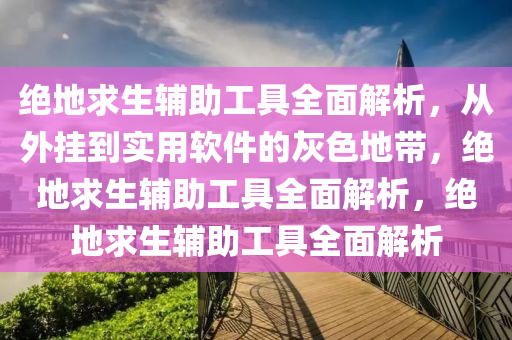 绝地求生辅助工具全面解析，从外挂到实用软件的灰色地带，绝地求生辅助工具全面解析，绝地求生辅助工具全面解析