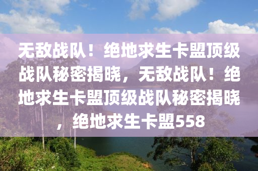 无敌战队！绝地求生卡盟顶级战队秘密揭晓，无敌战队！绝地求生卡盟顶级战队秘密揭晓，绝地求生卡盟558