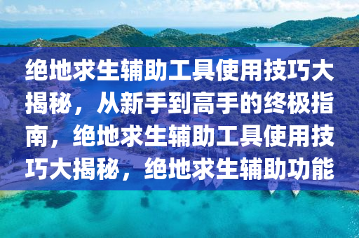 绝地求生辅助工具使用技巧大揭秘，从新手到高手的终极指南，绝地求生辅助工具使用技巧大揭秘，绝地求生辅助功能