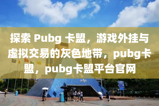 探索 Pubg 卡盟，游戏外挂与虚拟交易的灰色地带，pubg卡盟，pubg卡盟平台官网