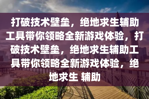 打破技术壁垒，绝地求生辅助工具带你领略全新游戏体验，打破技术壁垒，绝地求生辅助工具带你领略全新游戏体验，绝地求生 辅助