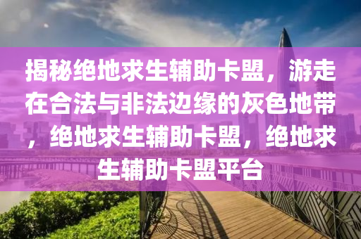 揭秘绝地求生辅助卡盟，游走在合法与非法边缘的灰色地带，绝地求生辅助卡盟，绝地求生辅助卡盟平台