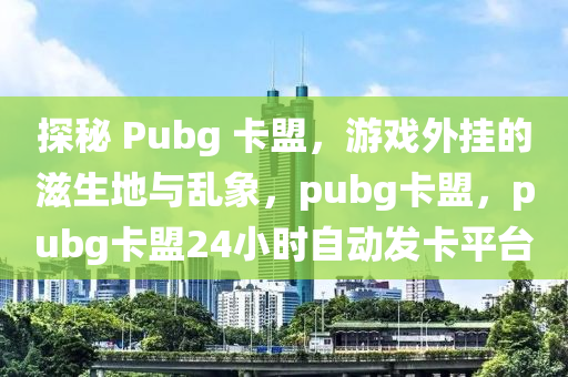 探秘 Pubg 卡盟，游戏外挂的滋生地与乱象，pubg卡盟，pubg卡盟24小时自动发卡平台