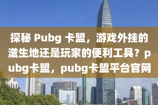 探秘 Pubg 卡盟，游戏外挂的滋生地还是玩家的便利工具？pubg卡盟，pubg卡盟平台官网