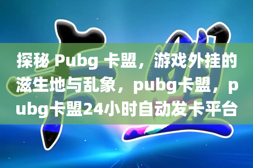 探秘 Pubg 卡盟，游戏外挂的滋生地与乱象，pubg卡盟，pubg卡盟24小时自动发卡平台