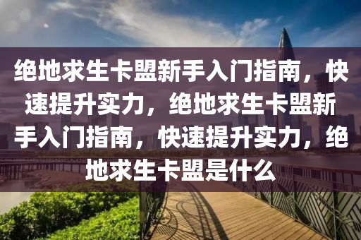 绝地求生卡盟新手入门指南，快速提升实力，绝地求生卡盟新手入门指南，快速提升实力，绝地求生卡盟是什么