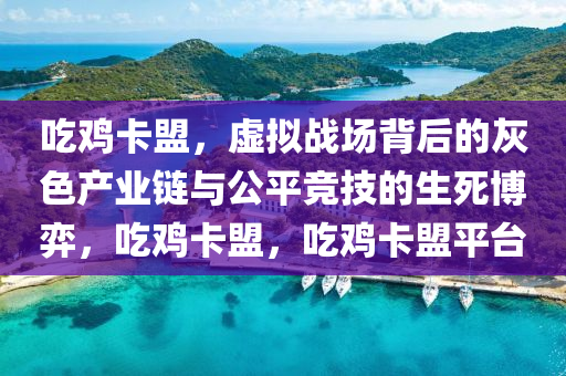 吃鸡卡盟，虚拟战场背后的灰色产业链与公平竞技的生死博弈，吃鸡卡盟，吃鸡卡盟平台
