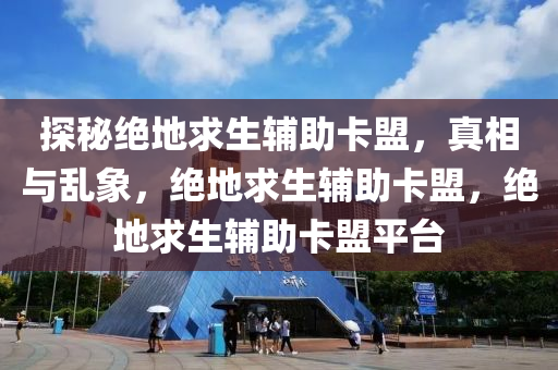 探秘绝地求生辅助卡盟，真相与乱象，绝地求生辅助卡盟，绝地求生辅助卡盟平台