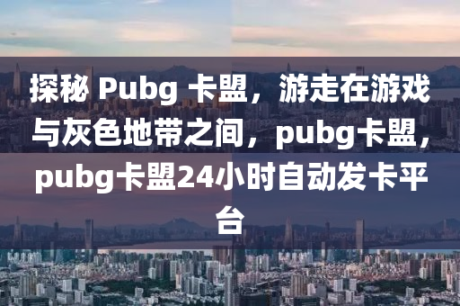 探秘 Pubg 卡盟，游走在游戏与灰色地带之间，pubg卡盟，pubg卡盟24小时自动发卡平台