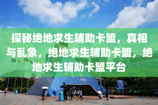 探秘绝地求生辅助卡盟，真相与乱象，绝地求生辅助卡盟，绝地求生辅助卡盟平台