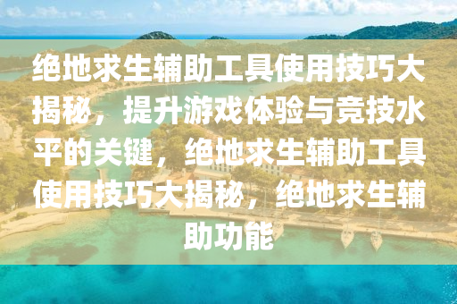 绝地求生辅助工具使用技巧大揭秘，提升游戏体验与竞技水平的关键，绝地求生辅助工具使用技巧大揭秘，绝地求生辅助功能