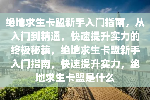 绝地求生卡盟新手入门指南，从入门到精通，快速提升实力的终极秘籍，绝地求生卡盟新手入门指南，快速提升实力，绝地求生卡盟是什么