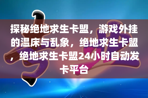 探秘绝地求生卡盟，游戏外挂的温床与乱象，绝地求生卡盟，绝地求生卡盟24小时自动发卡平台