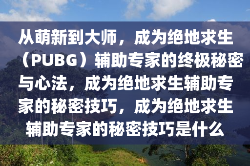 从萌新到大师，成为绝地求生（PUBG）辅助专家的终极秘密与心法，成为绝地求生辅助专家的秘密技巧，成为绝地求生辅助专家的秘密技巧是什么