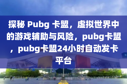 探秘 Pubg 卡盟，虚拟世界中的游戏辅助与风险，pubg卡盟，pubg卡盟24小时自动发卡平台
