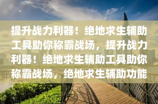 提升战力利器！绝地求生辅助工具助你称霸战场，提升战力利器！绝地求生辅助工具助你称霸战场，绝地求生辅助功能