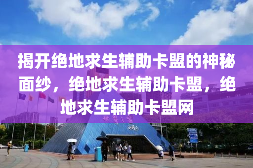 探秘吃鸡卡盟，背后的秘密与影响，吃鸡卡盟，吃鸡卡盟24小时自动发卡平台