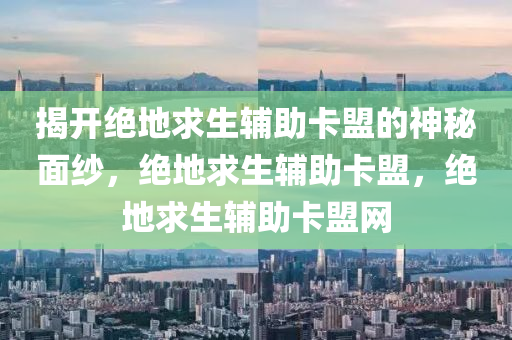 揭开绝地求生辅助卡盟的神秘面纱，绝地求生辅助卡盟，绝地求生辅助卡盟网