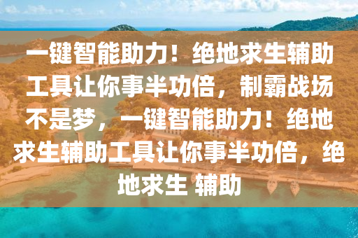 一键智能助力！绝地求生辅助工具让你事半功倍，制霸战场不是梦，一键智能助力！绝地求生辅助工具让你事半功倍，绝地求生 辅助
