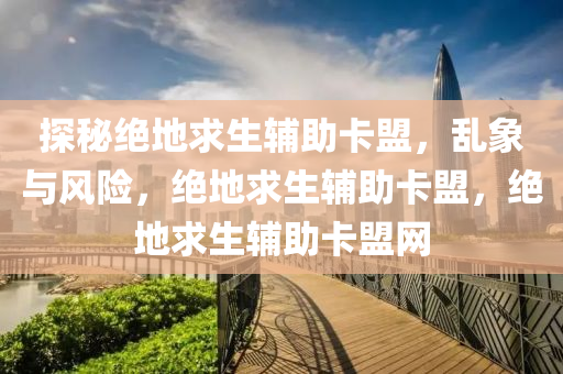 探秘绝地求生辅助卡盟，乱象与风险，绝地求生辅助卡盟，绝地求生辅助卡盟网