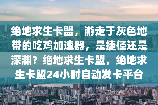 绝地求生卡盟，游走于灰色地带的吃鸡加速器，是捷径还是深渊？绝地求生卡盟，绝地求生卡盟24小时自动发卡平台