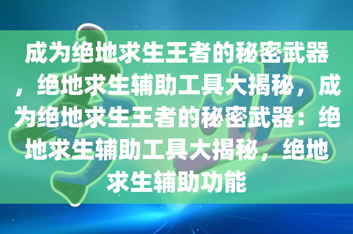 成为绝地求生王者的秘密武器，绝地求生辅助工具大揭秘，成为绝地求生王者的秘密武器：绝地求生辅助工具大揭秘，绝地求生辅助功能